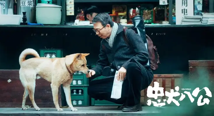 在国外手机看咪咕视频怎么用